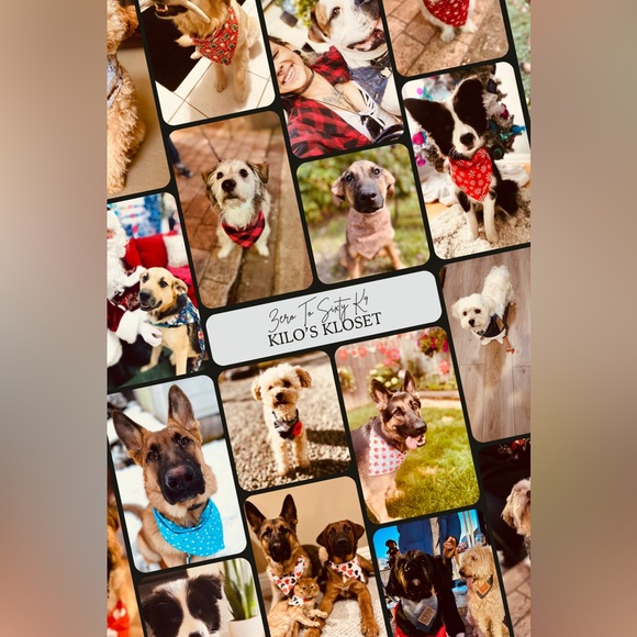 1” Paws & Bones Dog Collar - Picture 5 of 9